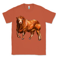 Copper red angus bull Classic Tee - LillyAllenDesigns