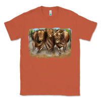 Copper 3 red angus bulls Classic Tee - LillyAllenDesigns
