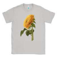 Moon Dust teddy bear sunflower Classic Tee - LillyAllenDesigns
