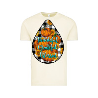 Vintage Arctic Thankful Grateful Blessed Vintage Tee - LillyAllenDesigns