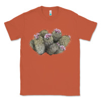 Copper cob beehive cactus Classic Tee - LillyAllenDesigns