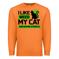 Carrot Cat Weed I Like My Cat Gift Premium Sweatshirt - Bettercallsaul