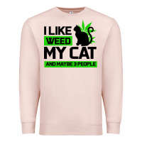 Cat Weed I Like My Cat Gift Premium Sweatshirt | Teevron