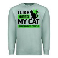 Seafoam Cat Weed I Like My Cat Gift Premium Sweatshirt - Bettercallsaul