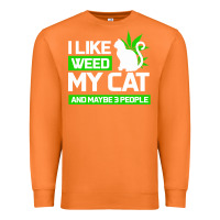 Carrot Cat Weed I Like My Cat Gift Premium Sweatshirt - Bettercallsaul