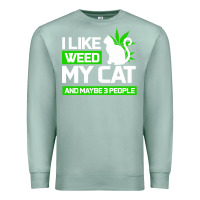 Seafoam Cat Weed I Like My Cat Gift Premium Sweatshirt - Bettercallsaul
