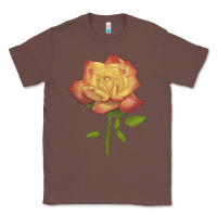 Chestnut rainbow's end rose Classic Tee - LillyAllenDesigns