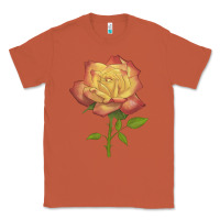 Copper rainbow's end rose Classic Tee - LillyAllenDesigns