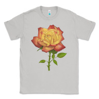 Moon Dust rainbow's end rose Classic Tee - LillyAllenDesigns