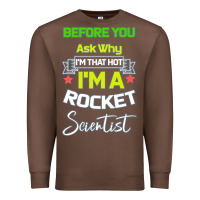 Chestnut Rocket Scientist Why I m Hot Gift Premium Sweatshirt - Bettercallsaul