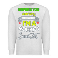 Oatmeal Heather Rocket Scientist Why I m Hot Gift Premium Sweatshirt - Bettercallsaul