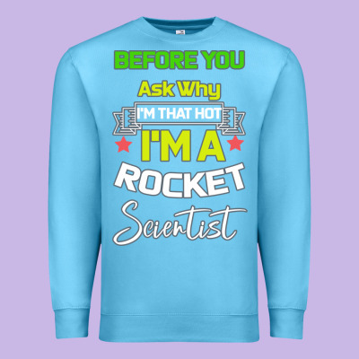 Rocket Scientist Why I M Hot Gift Premium Sweatshirt Designed By Bettercallsaul