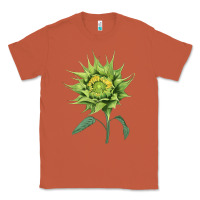 Copper sun fill green green sunflower Classic Tee - LillyAllenDesigns