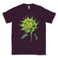 Plum sun fill green green sunflower Classic Tee - LillyAllenDesigns
