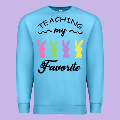 Teaching My Favorite Bunny Premium Sweatshirt Designed By Bettercallsaul