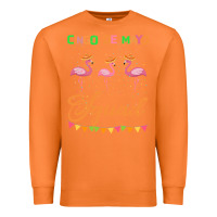Carrot Cinco De Mayo Squad Premium Sweatshirt - Bettercallsaul