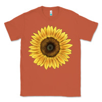 Copper giganteus sunflower Classic Tee - LillyAllenDesigns