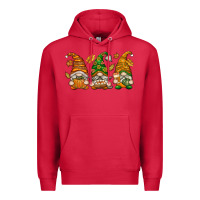 Cardinal Fall Gnomes Premium Hoodie - texasbilliewilder