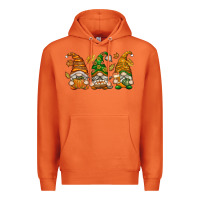 Carrot Fall Gnomes Premium Hoodie - texasbilliewilder