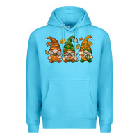 Fall Gnomes Premium Hoodie | Teevron