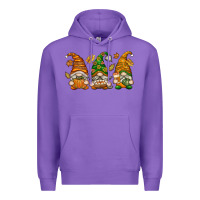 Purple Fall Gnomes Premium Hoodie - texasbilliewilder