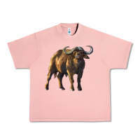 Salmon Buffalo Urban Heavy Tee - LillyAllenDesigns