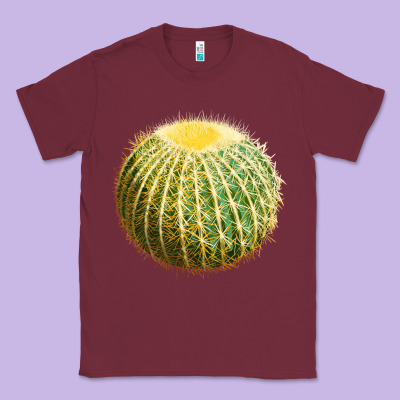 Golden Barrel Cactus Classic Tee Designed By Lillyallendesigns
