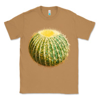 Toasted Coconut golden barrel cactus Classic Tee - LillyAllenDesigns
