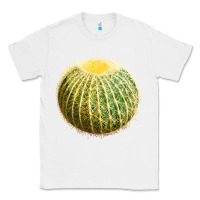 White golden barrel cactus Classic Tee - LillyAllenDesigns