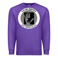 Purple Pop Pop And Grandson Best Friends For Life Premium Sweatshirt - Bettercallsaul