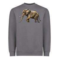 Storm Elephant Heavyweight Sweatshirt - LillyAllenDesigns