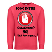 Cardinal I'm Not In Quarantine I'm A Programmer Premium Sweatshirt - Bettercallsaul