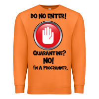 Carrot I'm Not In Quarantine I'm A Programmer Premium Sweatshirt - Bettercallsaul