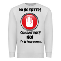 Dove Grey I'm Not In Quarantine I'm A Programmer Premium Sweatshirt - Bettercallsaul
