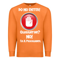 Carrot I'm Not In Quarantine I'm A Programmer Premium Sweatshirt - Bettercallsaul