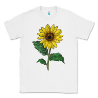 White Sunray yellow sunflower Classic Tee - LillyAllenDesigns
