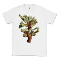 White cholla tree cactus Classic Tee - LillyAllenDesigns