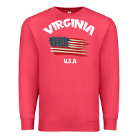 Cardinal VIRGINIA U.S.A Premium Sweatshirt - Bettercallsaul