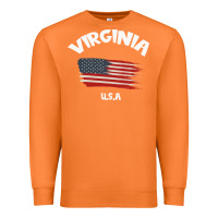 Carrot VIRGINIA U.S.A Premium Sweatshirt - Bettercallsaul