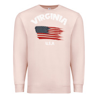 Pale Pink VIRGINIA U.S.A Premium Sweatshirt - Bettercallsaul