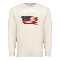 Sandshell VIRGINIA U.S.A Premium Sweatshirt - Bettercallsaul
