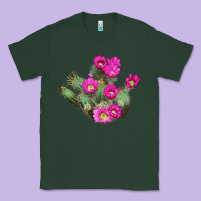 Strawberry Hedgehog Cactus Classic Tee Designed By Lillyallendesigns