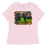 Bubblegum Pink black angus cattle and bull in barnyard Ladies Tee - RanaPortraitStore