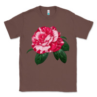 Chestnut neil diamond rose Classic Tee - LillyAllenDesigns