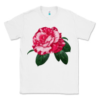 White neil diamond rose Classic Tee - LillyAllenDesigns