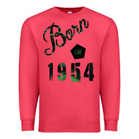 Cardinal Born in 1954 Premium Sweatshirt - Bettercallsaul