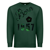 Sports Green Born In 1957 Premium Sweatshirt - Bettercallsaul