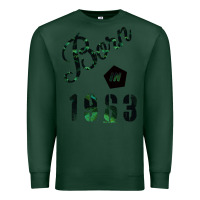Sports Green Born In 1963 Premium Sweatshirt - Bettercallsaul