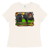 Bone black angus cattle and bull in barnyard Ladies Tee - RanaPortraitStore