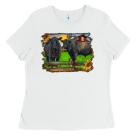 White black angus cattle and bull in barnyard Ladies Tee - RanaPortraitStore